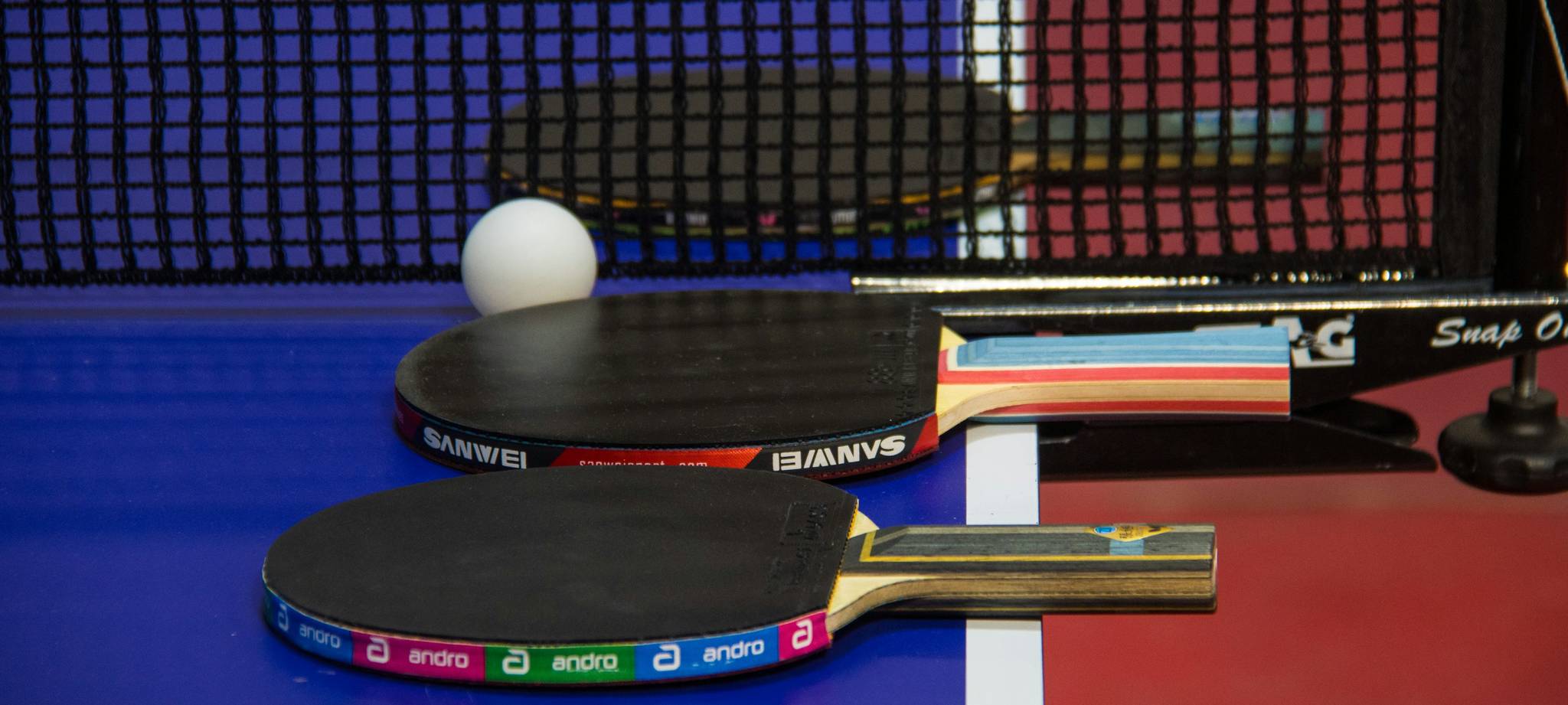 Panda熊猫体育简介